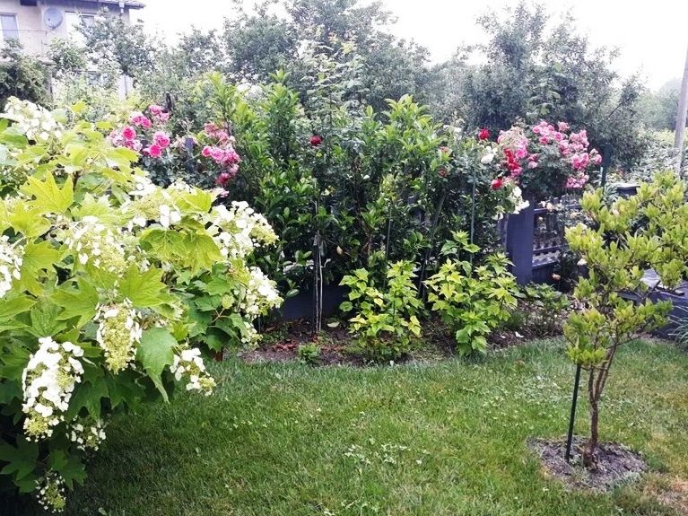 Дом в Осеново, Болгария, 234 м² - фото 13