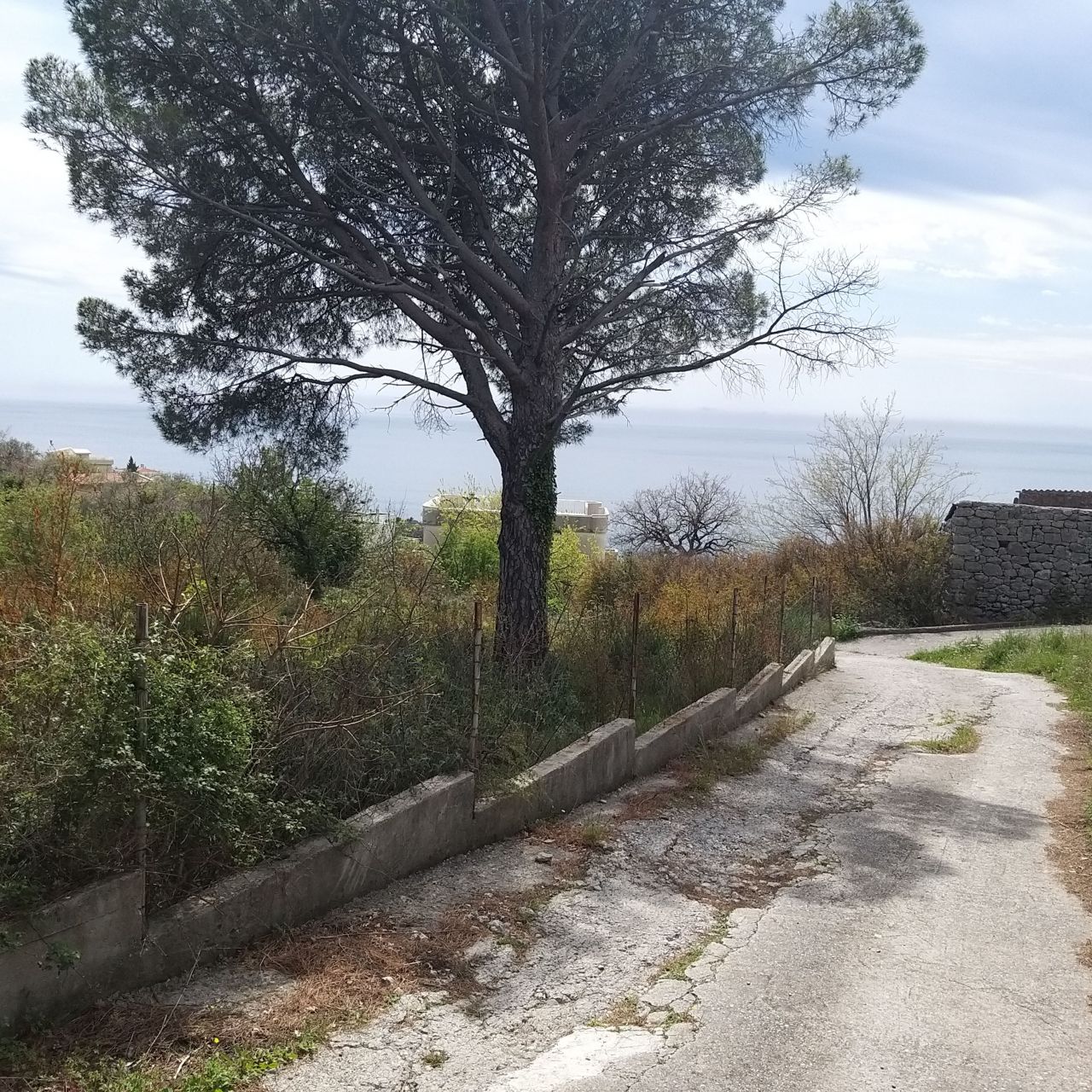 Земля в Баре, Черногория, 400 м² - фото 4