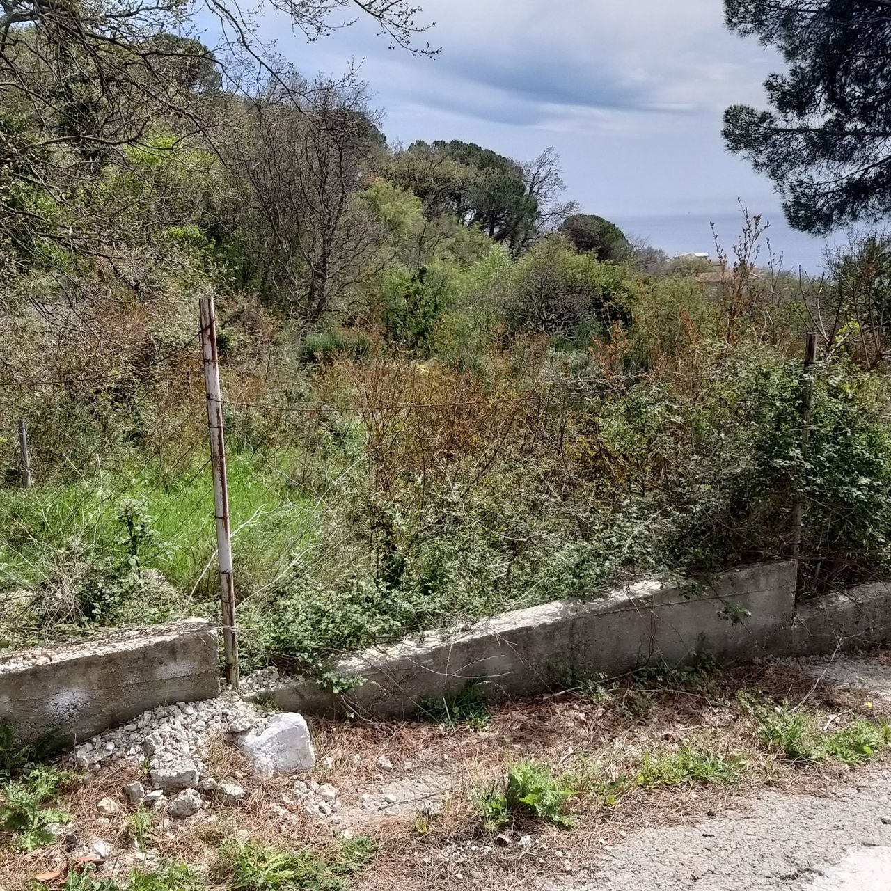 Земля в Баре, Черногория, 400 м² - фото 3