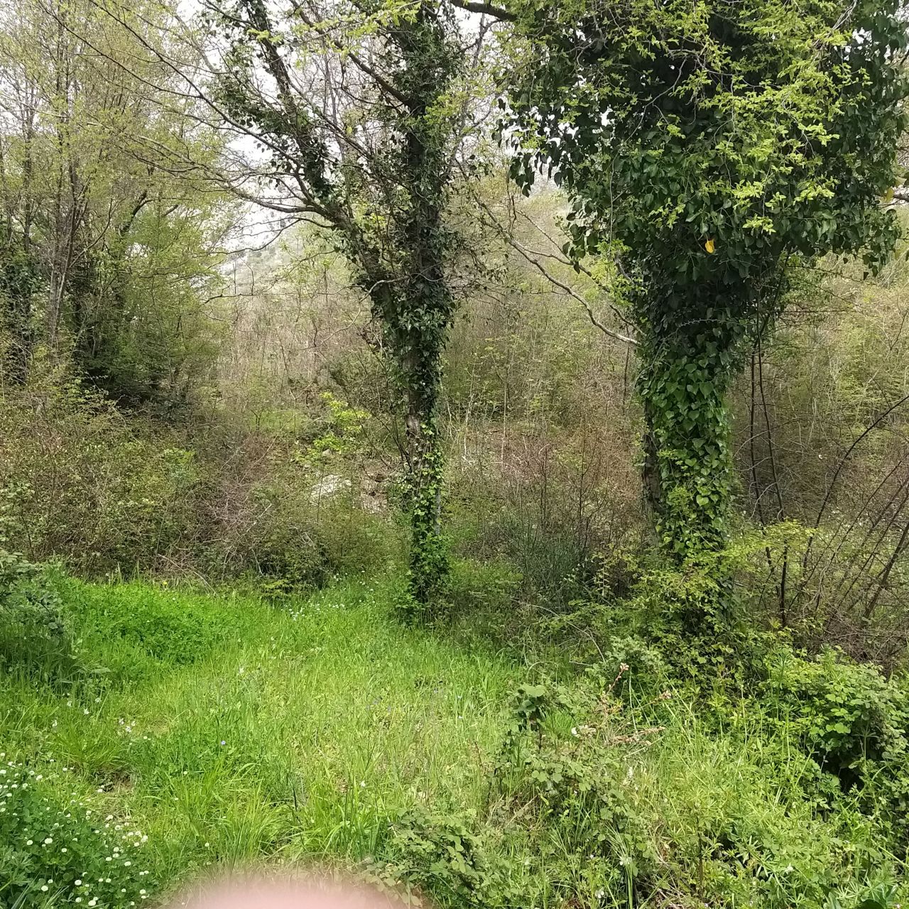 Земля в Баре, Черногория, 400 м² - фото 5