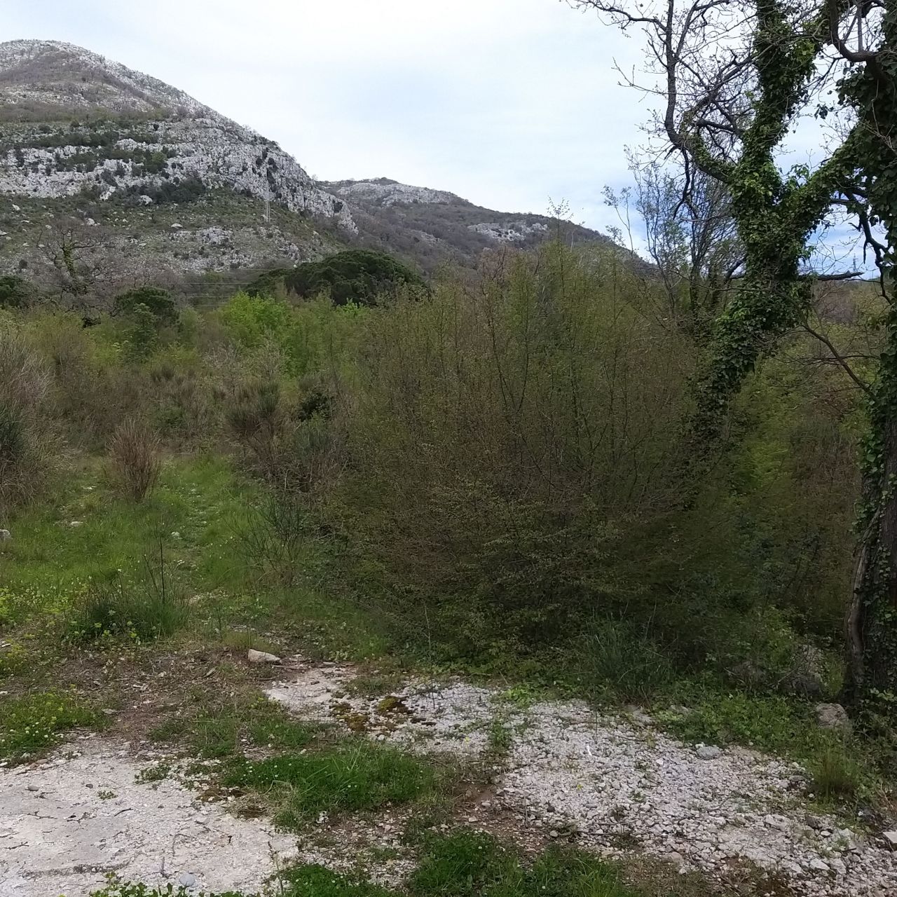 Земля в Баре, Черногория, 400 м² - фото 7