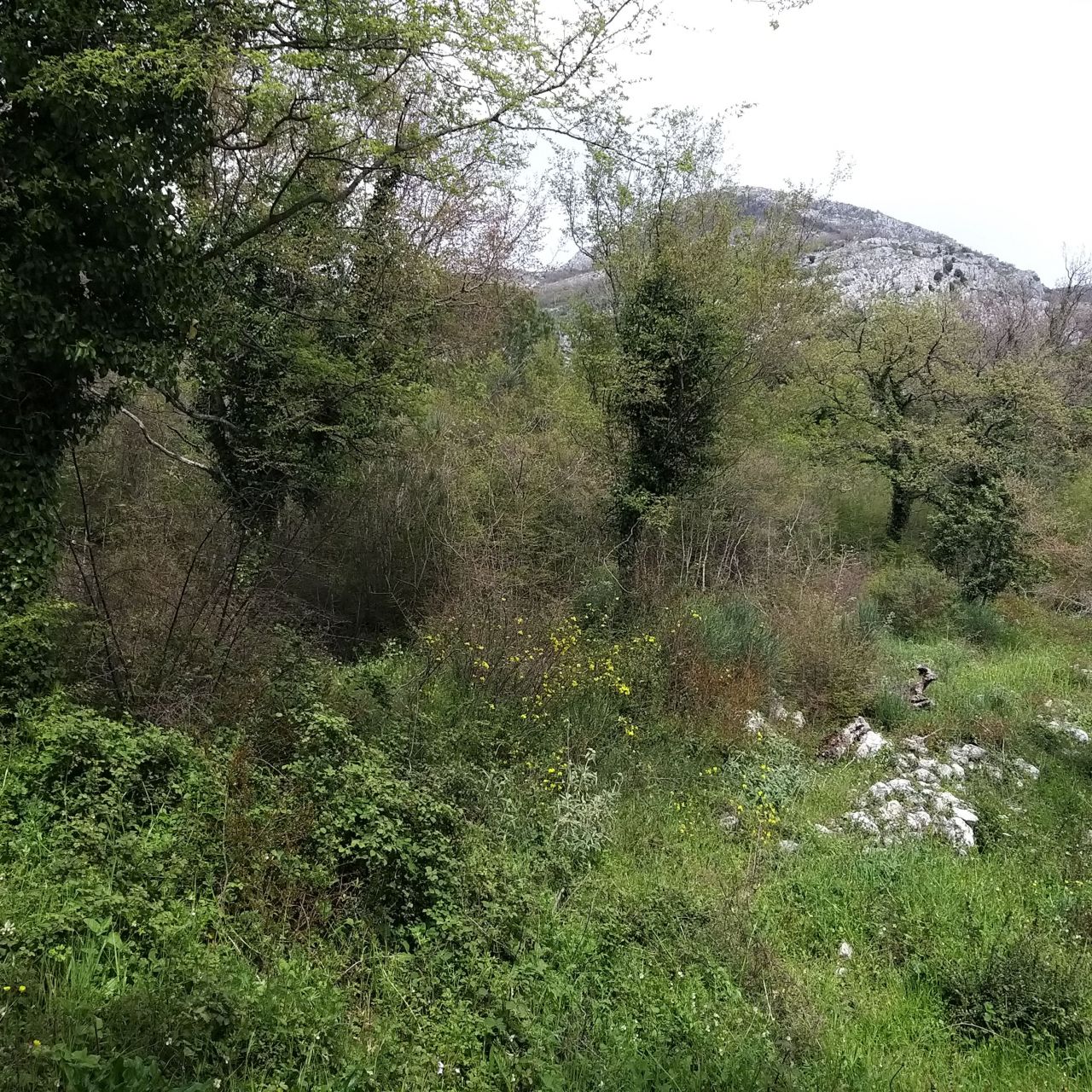 Земля в Баре, Черногория, 400 м² - фото 9