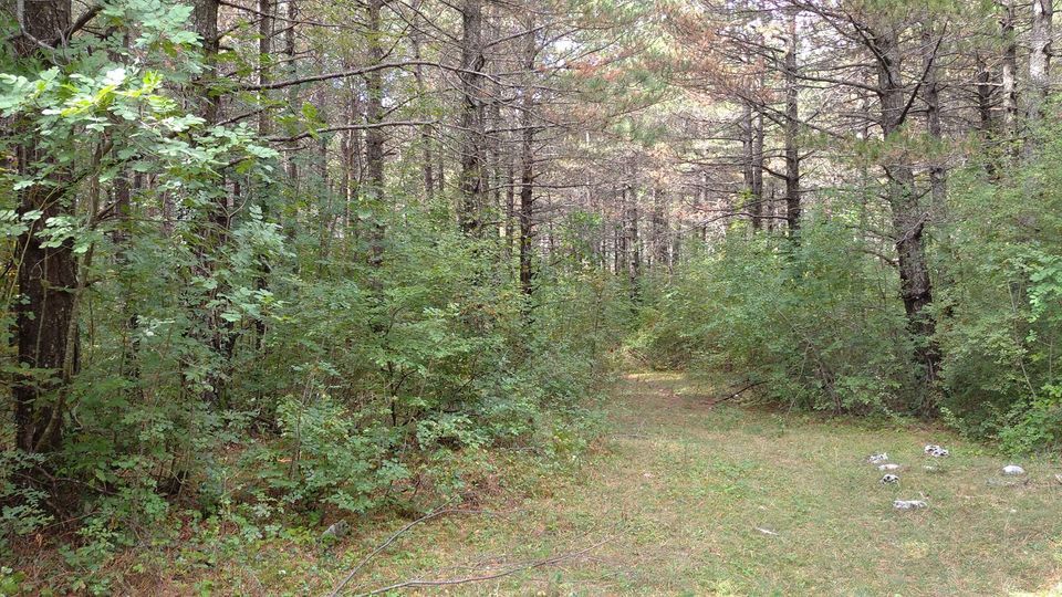 Земля в Херцег-Нови, Черногория, 3 100 м² - фото 2