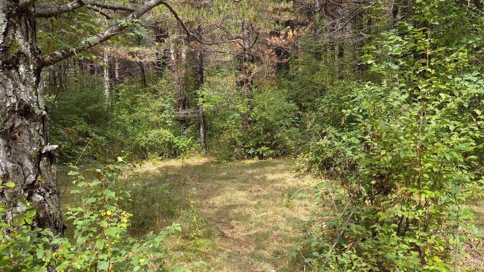 Земля в Херцег-Нови, Черногория, 3 100 м² - фото 4