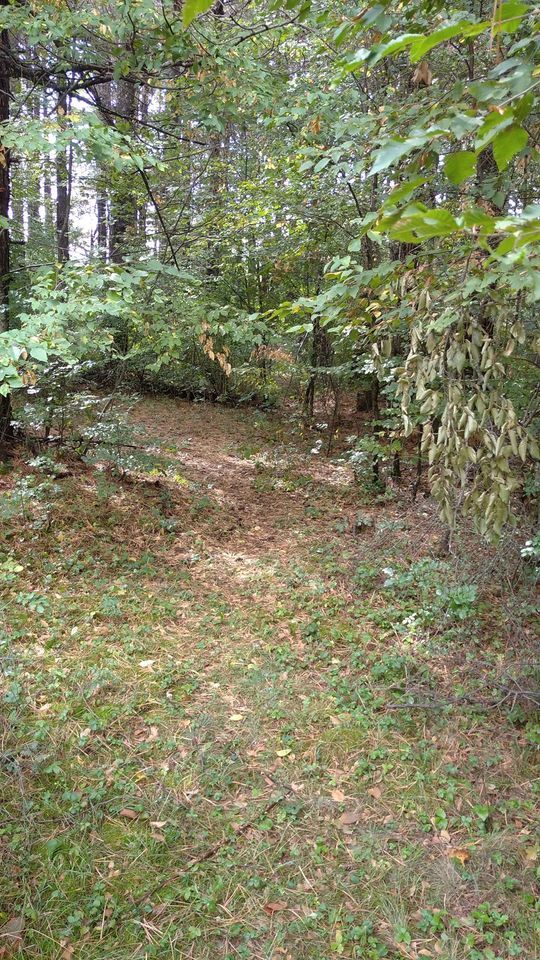 Земля в Херцег-Нови, Черногория, 3 100 м² - фото 6