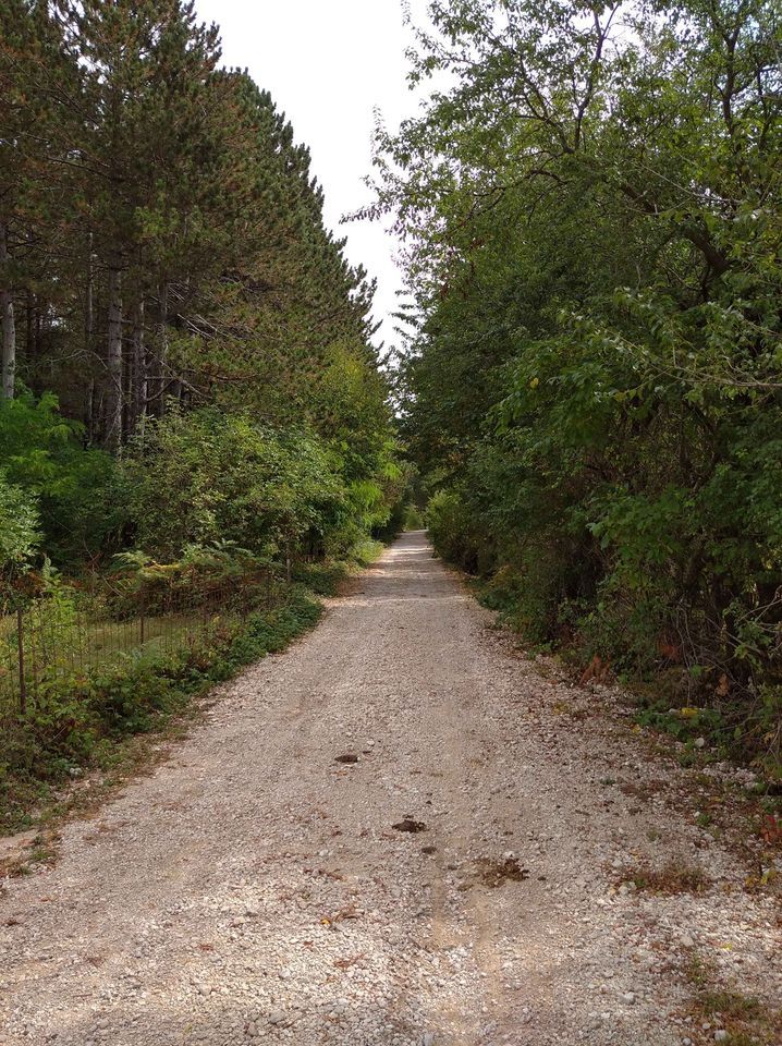 Земля в Херцег-Нови, Черногория, 3 100 м² - фото 9