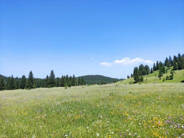 Земля в Жабляке, Черногория, 18 883 м² - фото 3