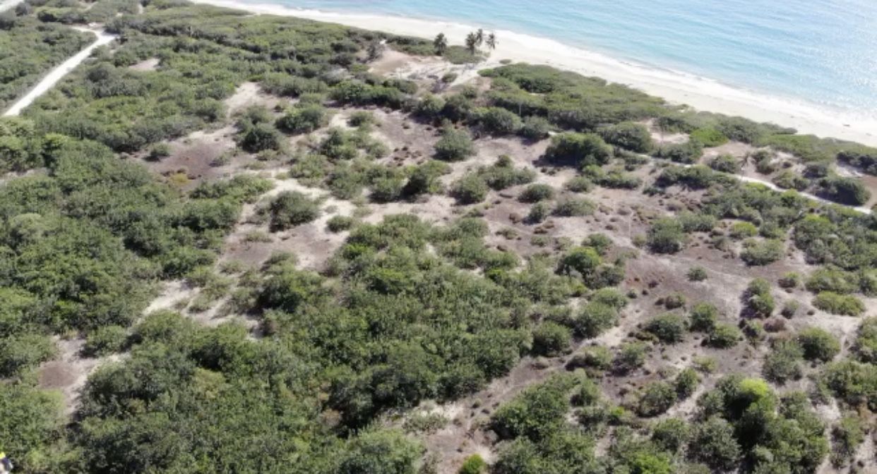 Земля в Кабарете, Доминиканская Республика, 85 000 м² - фото 6