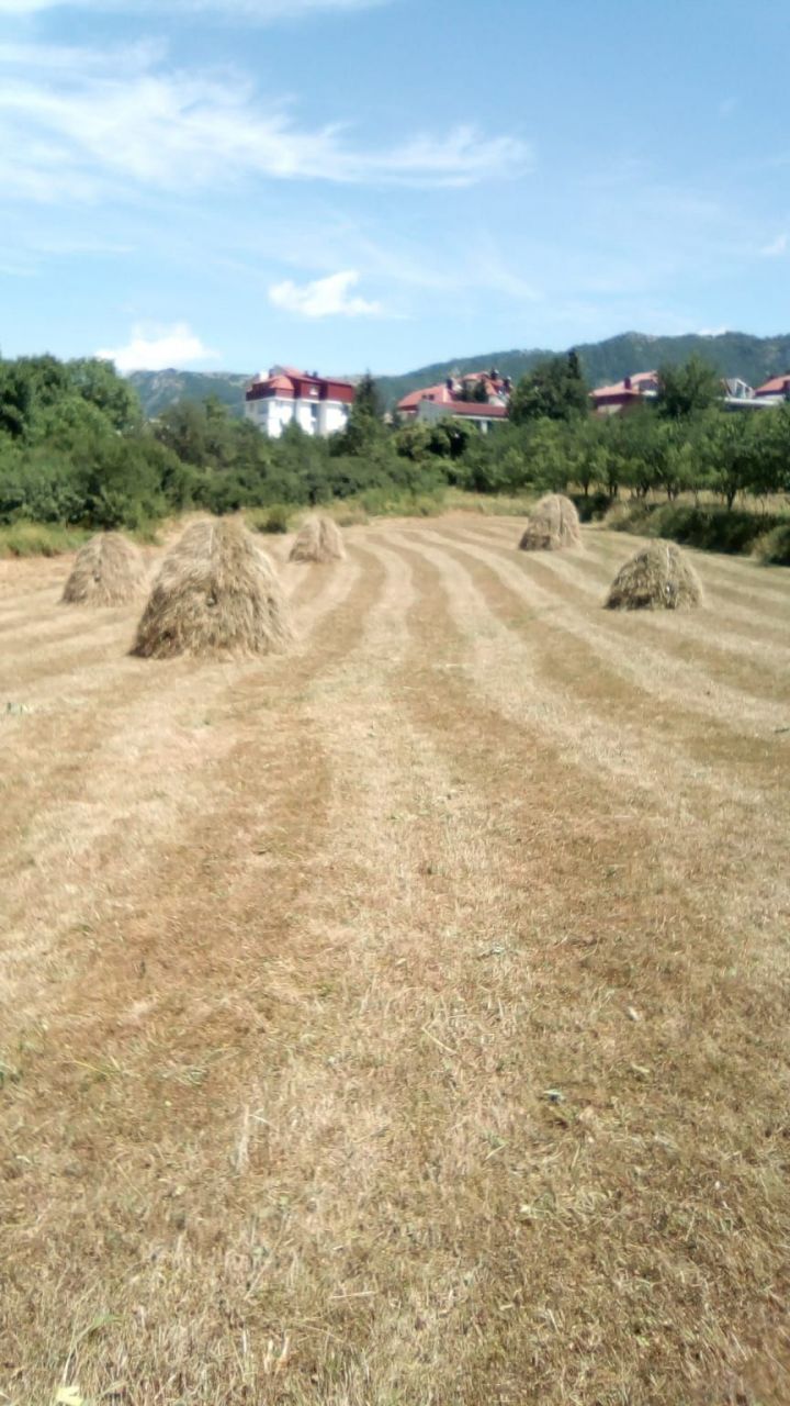 Земля в Плужине, Черногория, 3 896 м² - фото 2