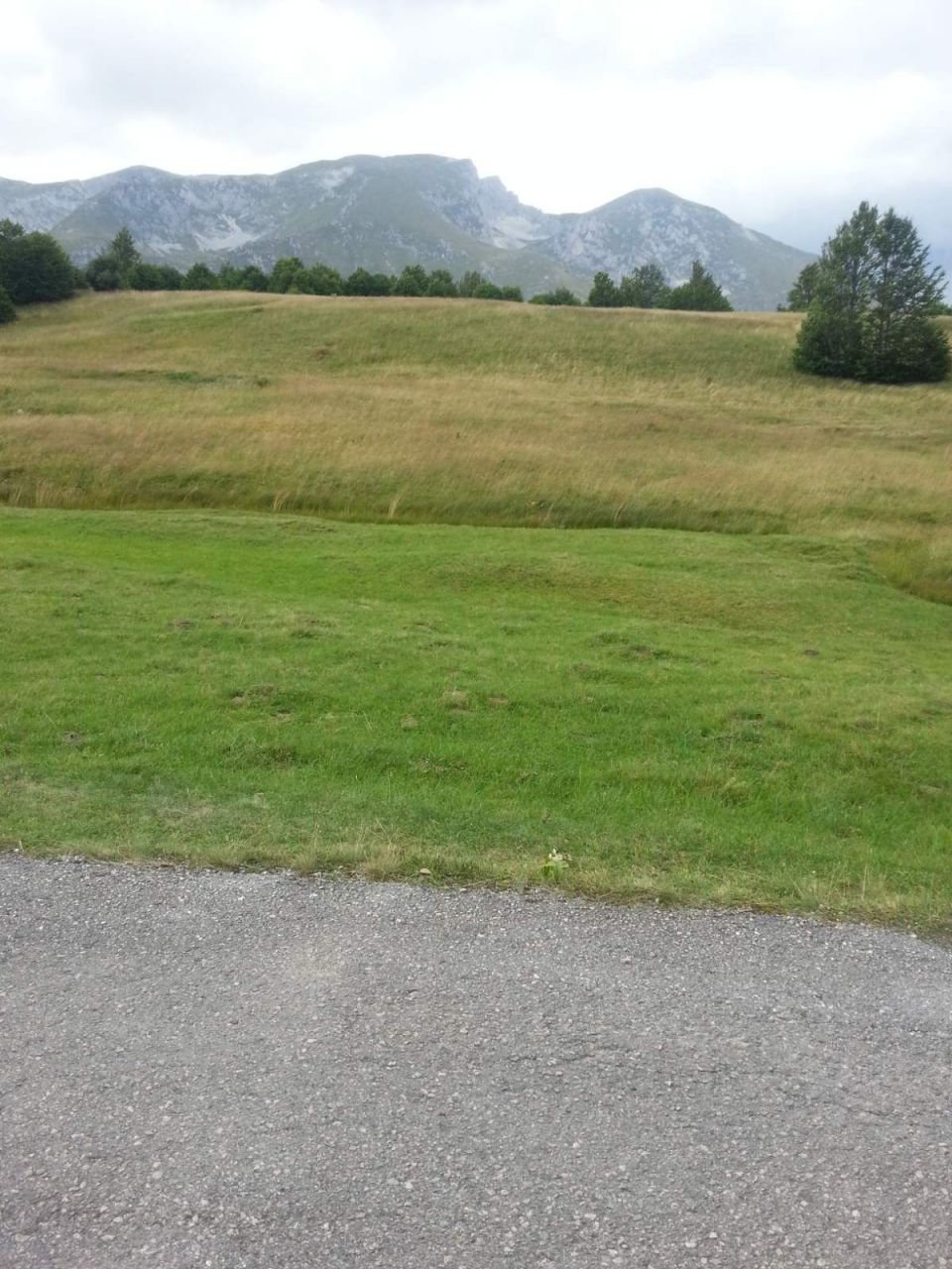 Земля в Жабляке, Черногория, 2.24 Га - фото 4