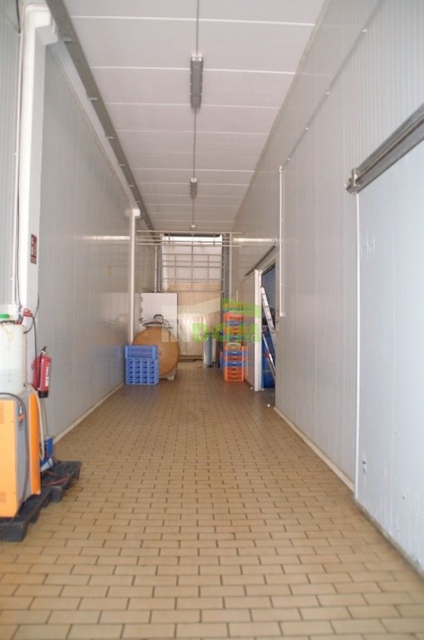 Коммерческая недвижимость на Коста-Дорада, Испания, 1 753 м² - фото 2