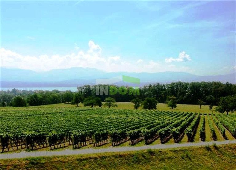 Отель, гостиница в Женеве, Швейцария, 7 700 м² - фото 3