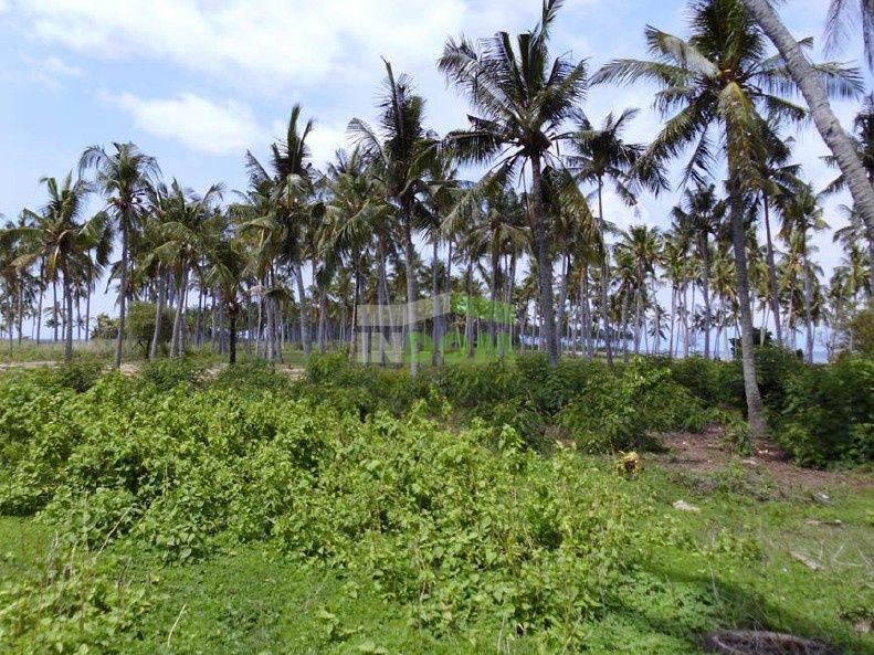 Земля о. Бали, Индонезия, 550 000 м² - фото 3