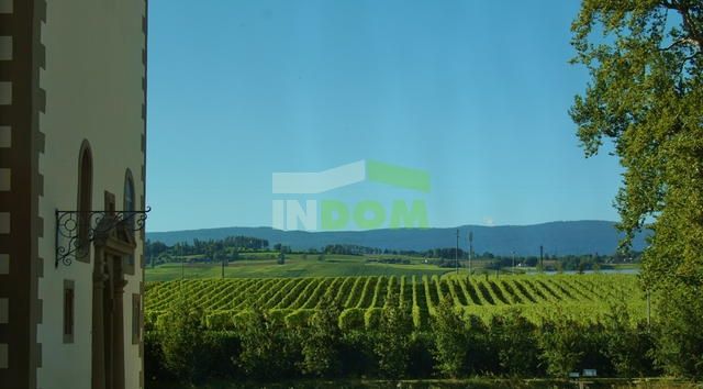 Отель, гостиница в Женеве, Швейцария, 7 700 м² - фото 4