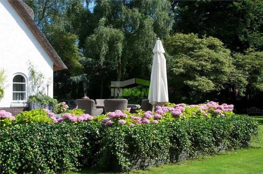 Вилла в Амстердаме, Нидерланды, 574 м² - фото 4