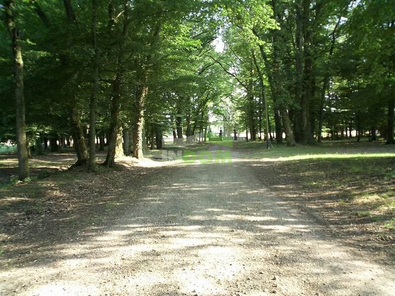 Замок Долина Луары, Франция, 1 400 м² - фото 4