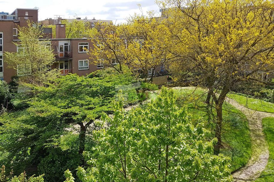 Апартаменты в Амстердаме, Нидерланды, 58 м² - фото 5