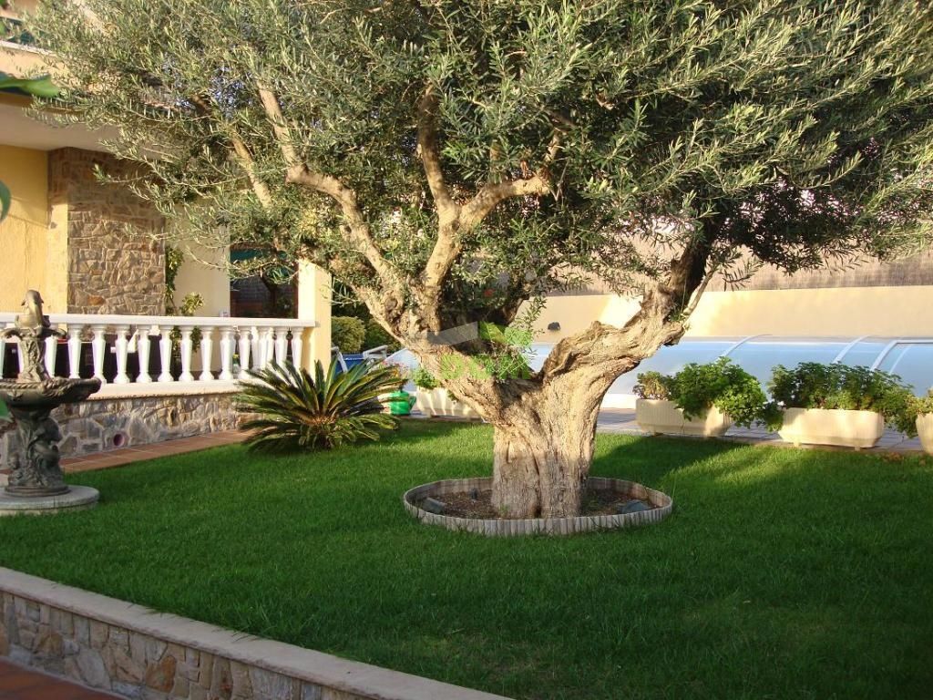 Дом на Коста-Дорада, Испания, 240 м² - фото 4