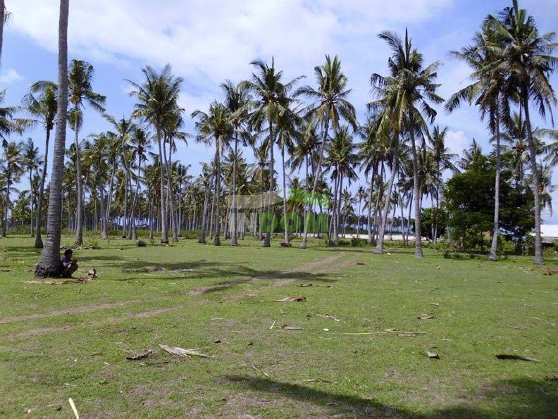 Земля о. Бали, Индонезия, 550 000 м² - фото 5