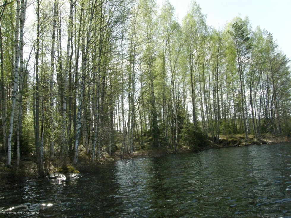 Земля в Руоколахти, Финляндия, 3 700 м² - фото 5