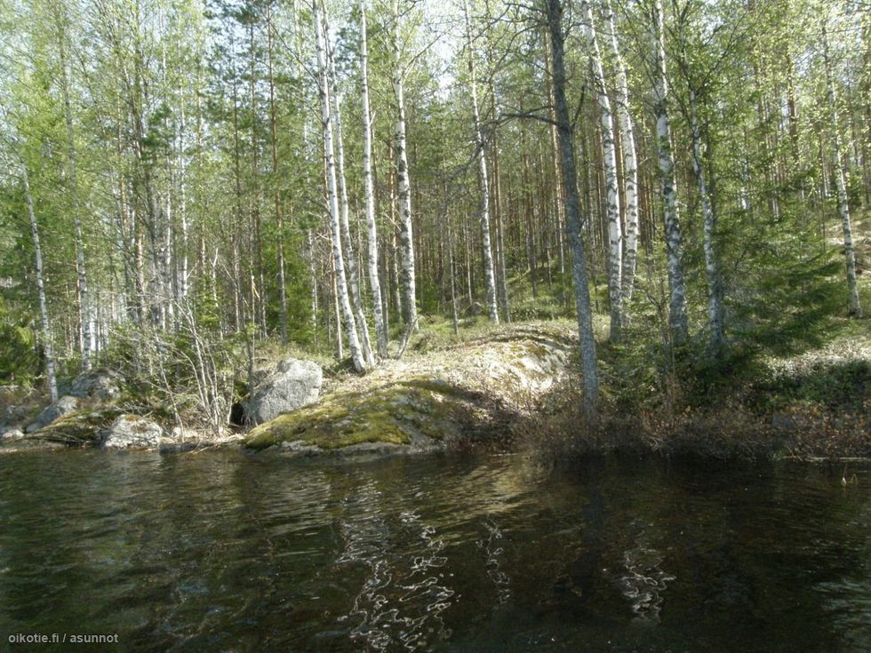 Земля в Руоколахти, Финляндия, 3 700 м² - фото 7