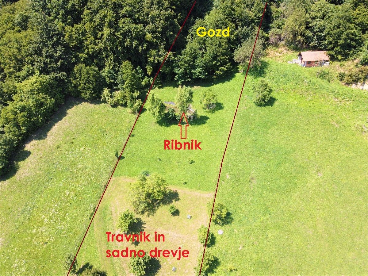 Дом в Шмарье-при-Елшах, Словения, 188.2 м² - фото 7