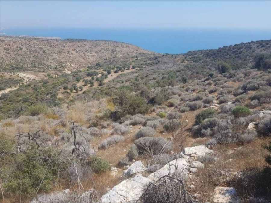Земля в Лимасоле, Кипр, 42 810 м2 - фото 1