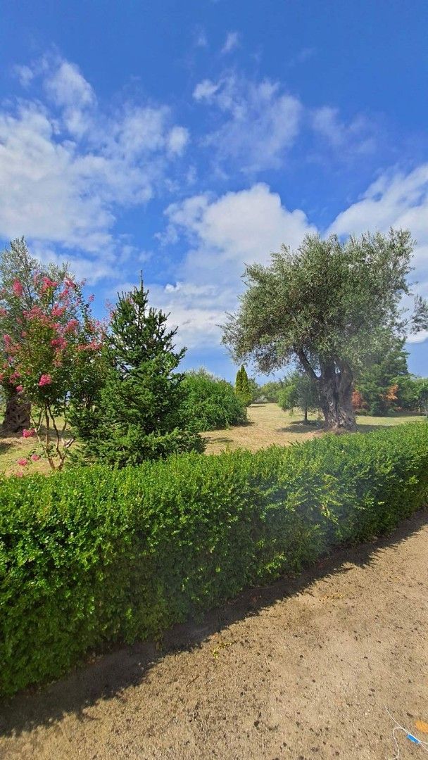 Дом в Добра Воде, Черногория, 250 м² - фото 11