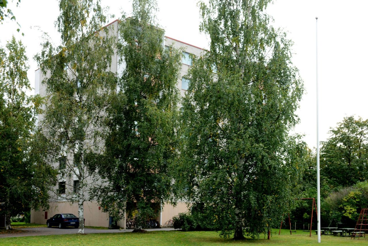 Квартира в Варкаусе, Финляндия, 58 м2 - фото 1