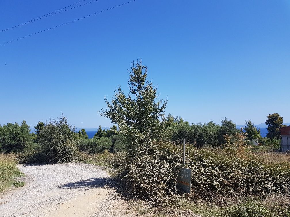 Земля на Кассандре, Греция, 8 000 м2 - фото 1