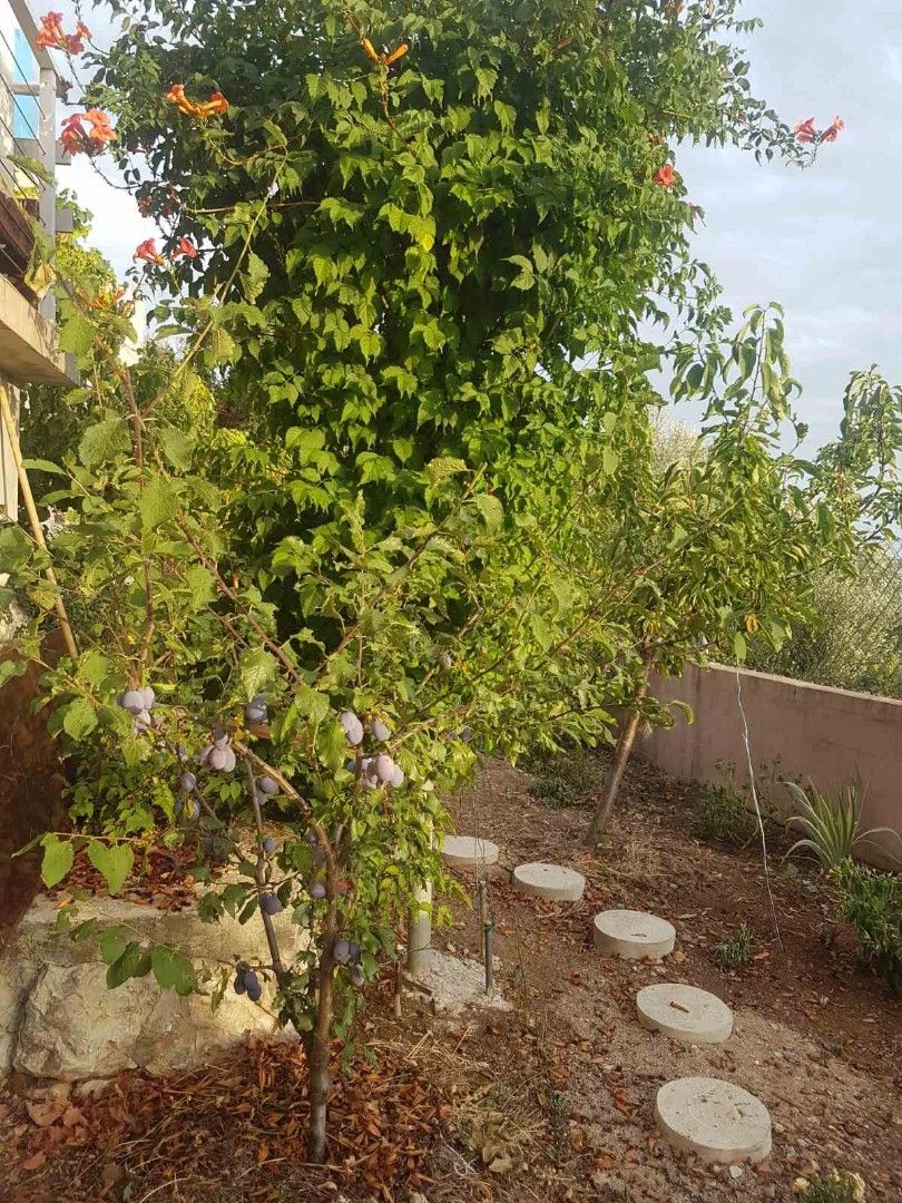 Дом в Сутоморе, Черногория, 122 м² - фото 8