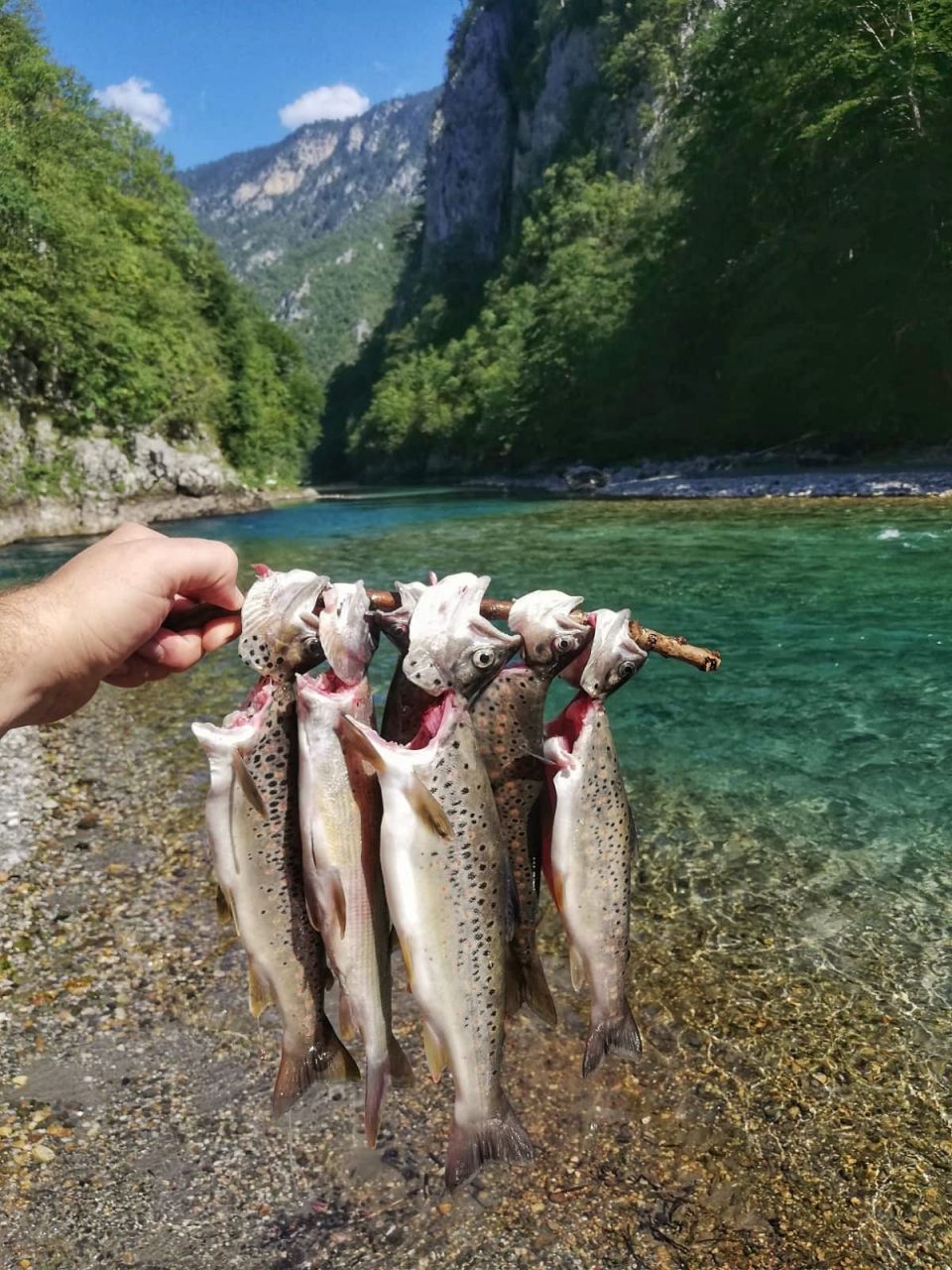 Земля в Плужине, Черногория, 5 200 м² - фото 9