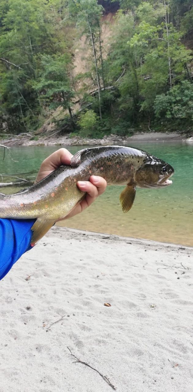 Земля в Плужине, Черногория, 5 200 м² - фото 8