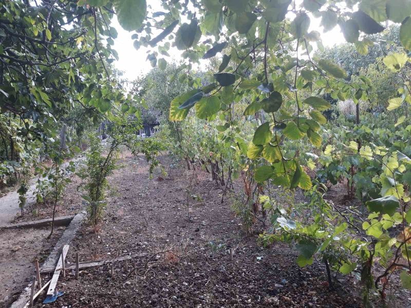 Дом в Баре, Черногория, 121 м² - фото 6