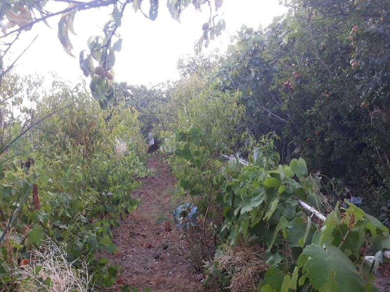 Дом в Баре, Черногория, 121 м² - фото 8