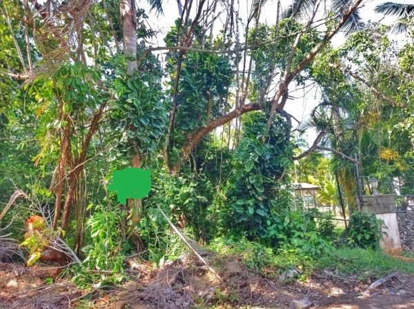 Земля в Кабарете, Доминиканская Республика, 947 м² - фото 3