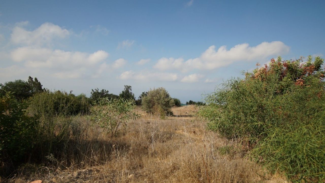 Земля в Пафосе, Кипр, 7 946 м² - фото 1