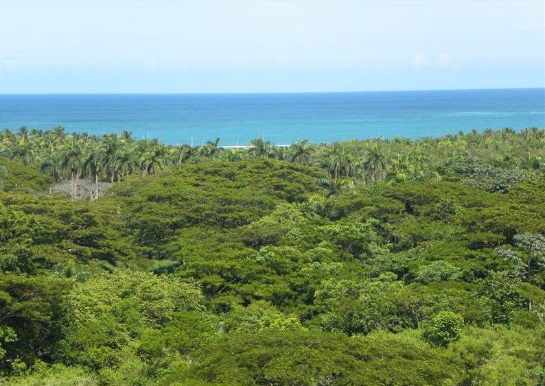 Земля в Гаспар Эрнандес, Доминиканская Республика, 35 464 м2 - фото 1