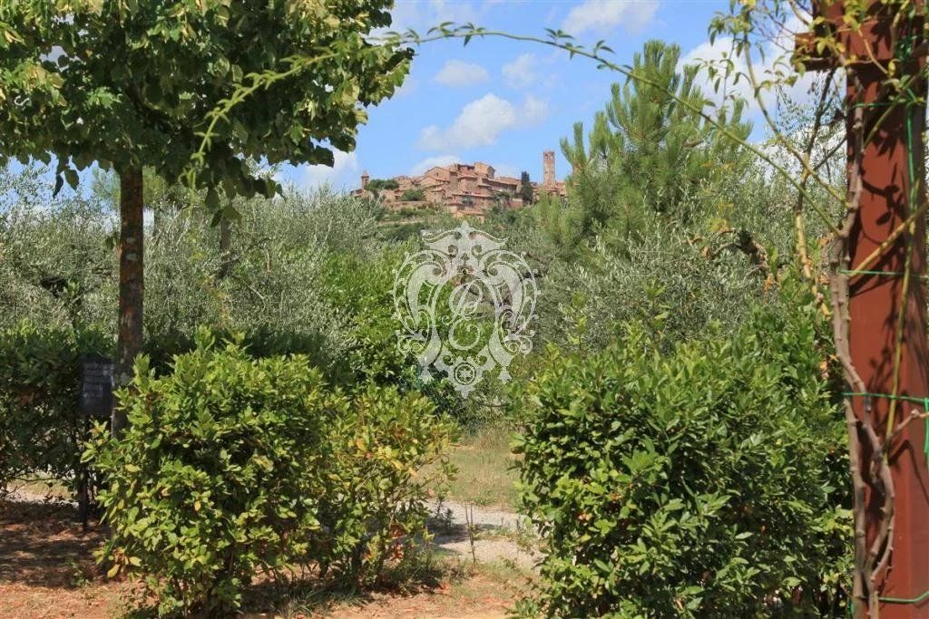 Отель, гостиница в Читта-делла-Пьеве, Италия, 1 117 м² - фото 12