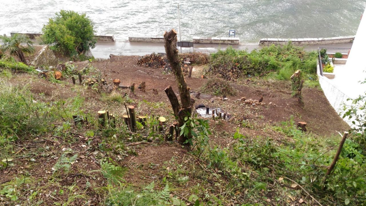 Земля в Столиве, Черногория, 2 062 м² - фото 5