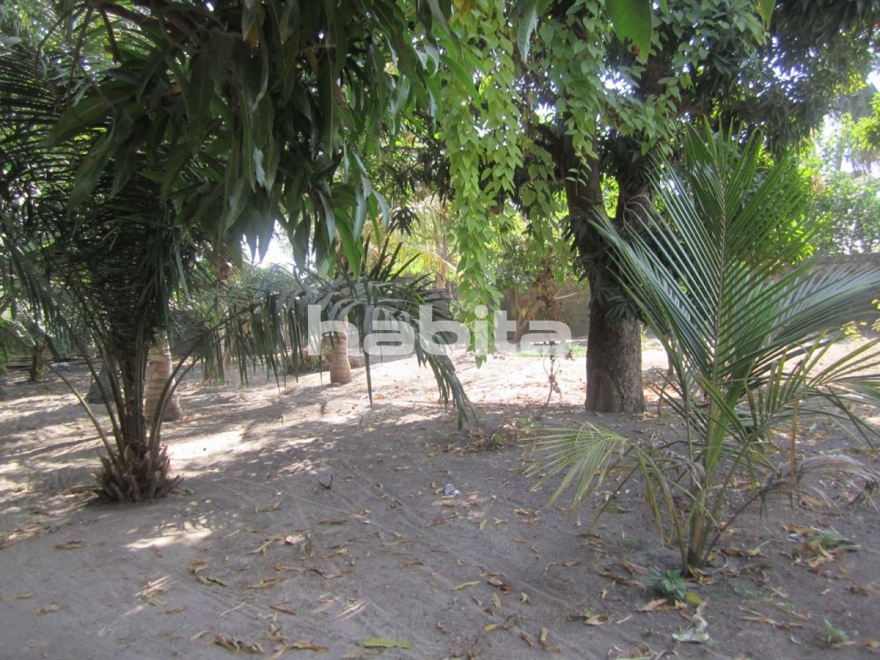 Дом Gunjur, Гамбия, 74 м2 - фото 1