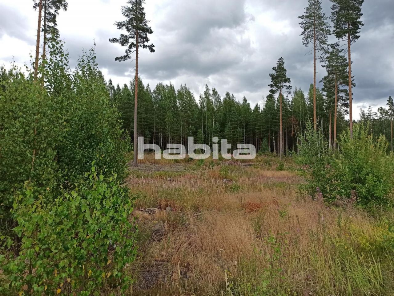 Земля в Туусула, Финляндия, 10 000 м2 - фото 1