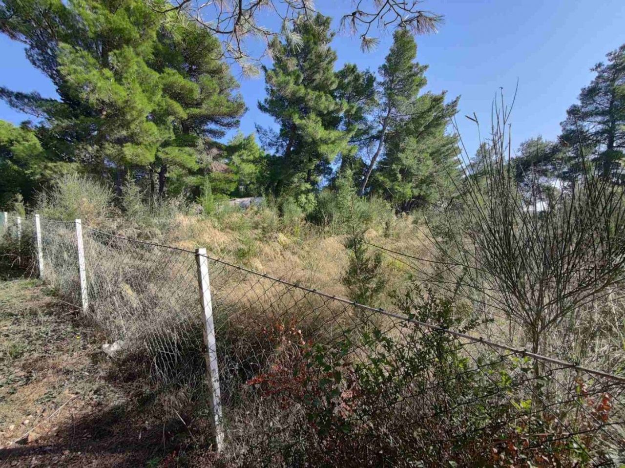 Земля Ратац, Черногория, 500 м² - фото 2