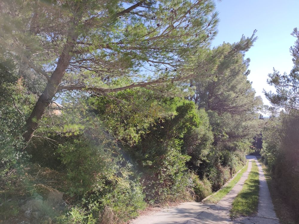 Земля в Сутоморе, Черногория, 901 м² - фото 2