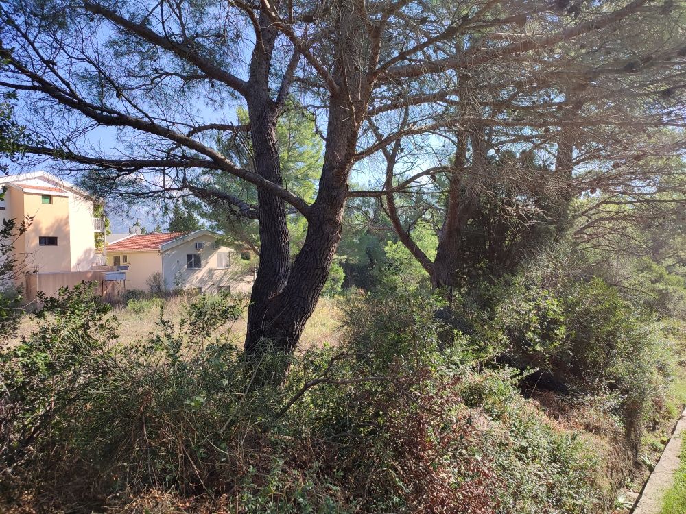 Земля в Сутоморе, Черногория, 901 м² - фото 4