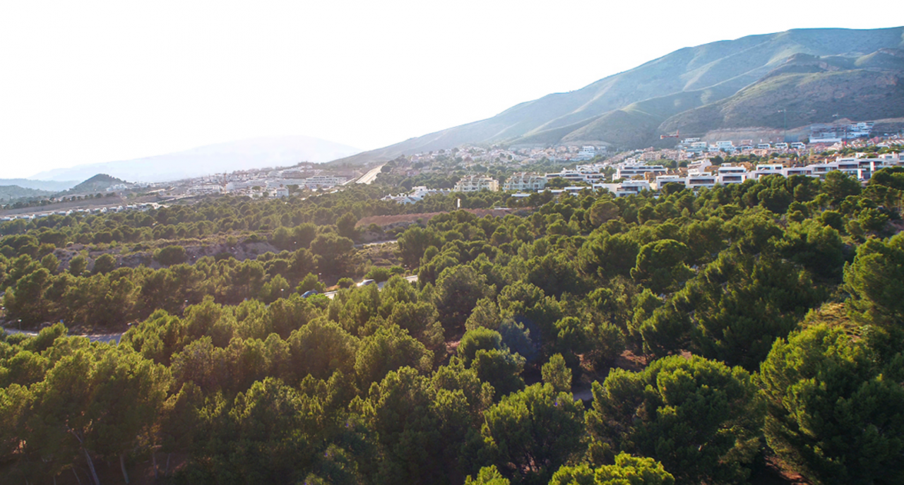 Коммерческая недвижимость в Финестрате, Испания, 450 м2 - фото 1