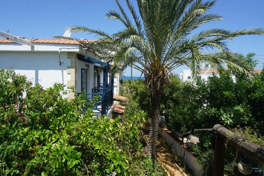 Отель, гостиница в Полисе, Кипр, 940 м² - фото 5