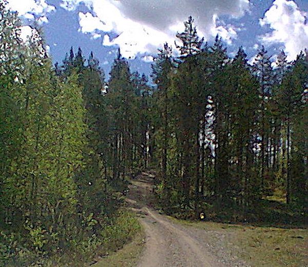 Земля в Кухмо, Финляндия, 1 Га - фото 10