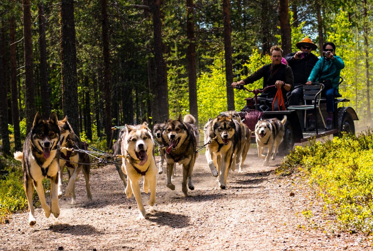 Земля в Рука, Финляндия, 3 974 м² - фото 13