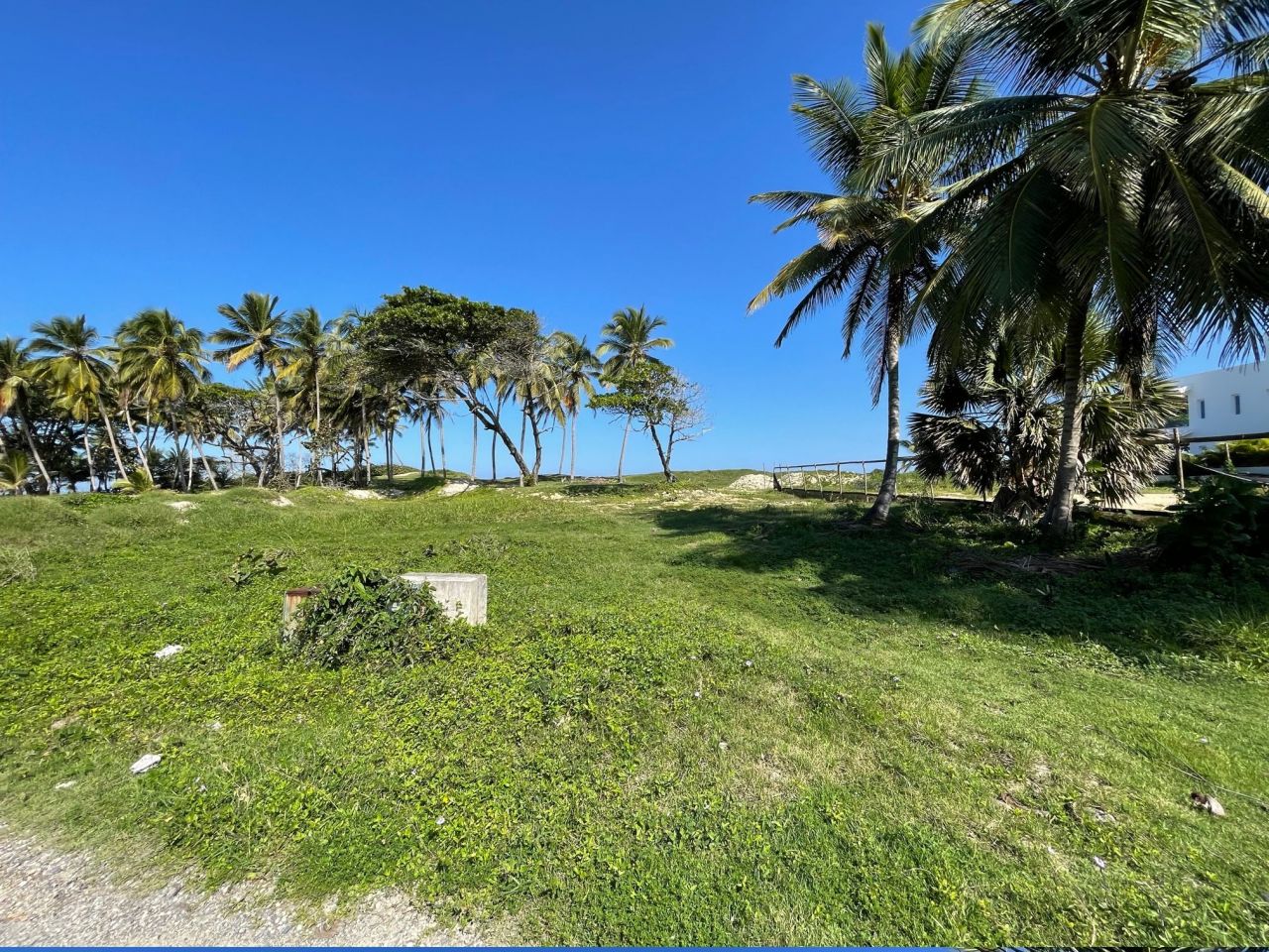 Земля в Сосуа, Доминиканская Республика, 800 м² - фото 5